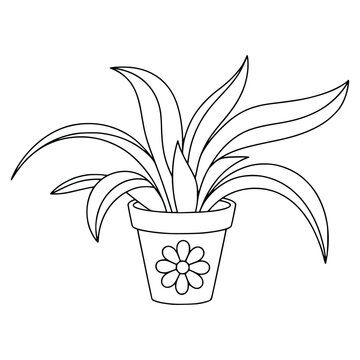 Black line drawing of potted plant with flower