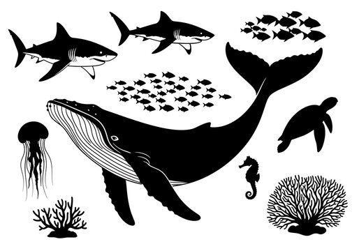 Black Whale Swimming with Fish School Shark Turtle Seahorse Jellyfish Coral Reef Silhouettes