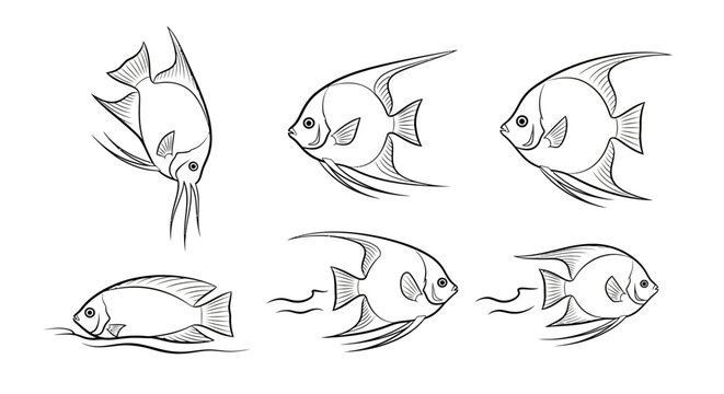 Hand-drawn sketch set of angelfish in various swimming poses