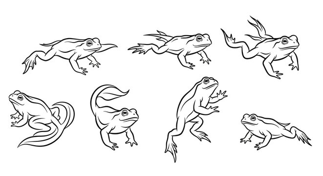 Set of frog illustrations in various poses, hand-drawn sketch