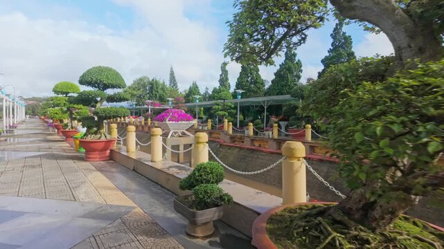 A serene pathway lined with meticulously pruned bonsai trees and vibrant impatiens flowers in Dalat Flower Garden, Vietnam. The tranquil setting invites peaceful contemplation.