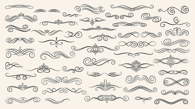 Decor ornament. Line swirls. Filigree for frame. Border element. Decorative calligraphic flourish geometric motifs. Typographic book text divider isolated elements. Separators vector victorian design