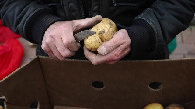 Preparing fresh potatoes for cooking in kitchen setting