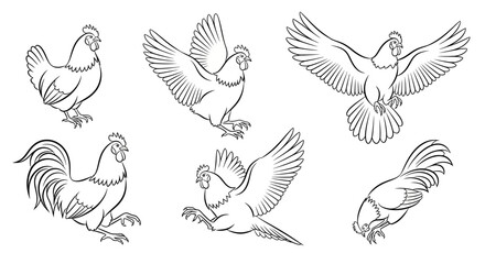 Obraz premium Set of sketch chickens in various poses, hand-drawn farm animal art