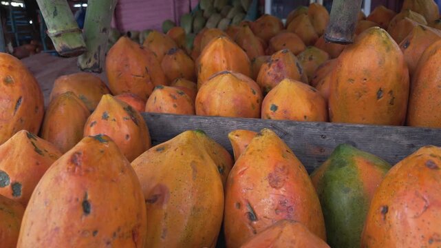 Pile of fresh, ripe orange papayas for sale at roadside fruit stand in tropical country. Close-up