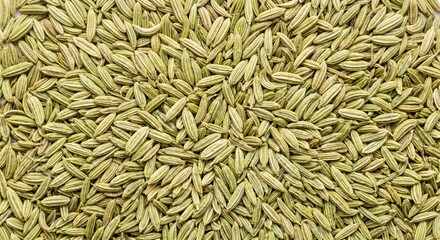 Close up macro view of dried green fennel seeds filling the entire frame showcasing their elongated shape and subtle striped texture © ProNoJoy