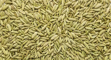 Close up macro view of dried green fennel seeds filling the entire frame showcasing their elongated shape and subtle striped texture © ProNoJoy