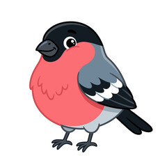 Fototapeta premium Bullfinch Cartoon Bird Character