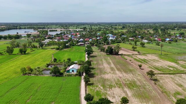 4K UHD Drone aerial view of peaceful rural village surrounded by green farmland, agricultural fields, and countryside landscape under natural daylight in Thailand