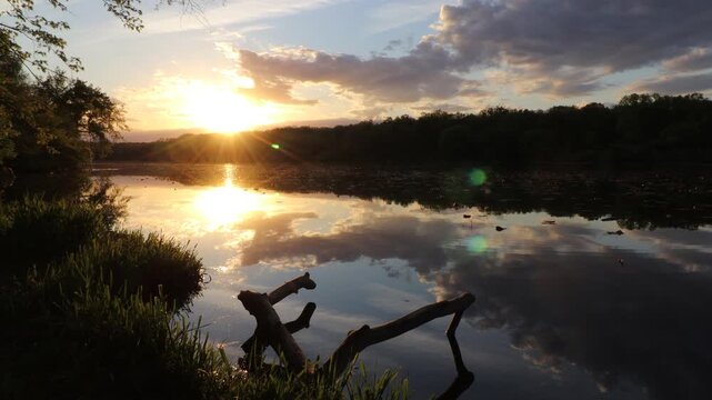 Static wide angle video of ripples in the lake water surrounded by grass and trees during sunset with clouds in the sky.