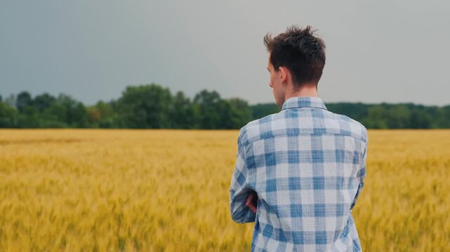 Young man in plaid shirt looking out across vast golden wheat field on an overcast day cinematic motion.