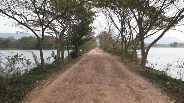 Rural Dirt Road Between Lakes and Trees in Peaceful Countryside