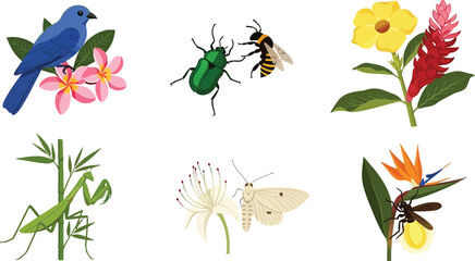 Naklejka premium Collection of diverse insects and birds with tropical flowers flat vector illustrations for nature and wildlife concepts isolated on white background