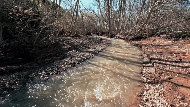 Tilting shot of a muddy winter creek flowing rapidly through a bare forest after a storm