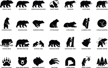 Obraz premium Bear species and behaviors solid icon set. Featuring grizzly, polar, panda, and sun bear silhouettes. Includes fishing, climbing, roaring, and walking actions for wildlife conservation materials.
