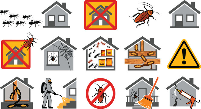 Pest control, home infestation service, insects prevention, termites ants cockroaches, and professional disinfection vector illustration
