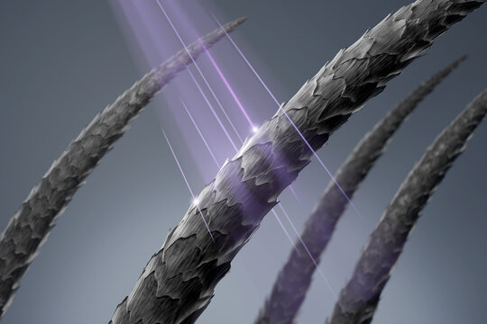 Microscopic uv damaged hair cuticle with dry split keratin fiber exposed to ultraviolet radiation 3D rendering