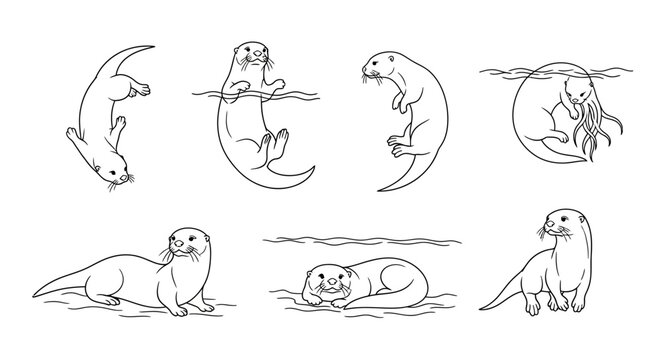 Set of Cute Otters in Various Poses, Hand-Drawn Line Art Vector