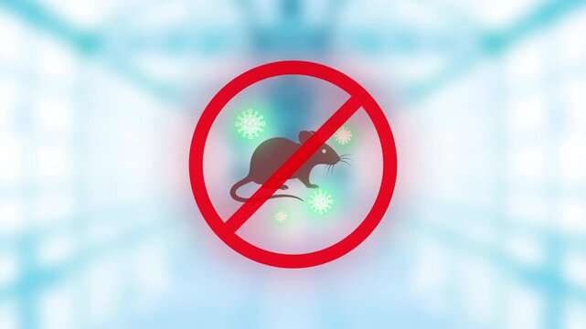Global health alert concept with infected mouse, floating viral particles and red cancel symbol, representing pandemic, contagion and zoonotic diseases on bokeh background