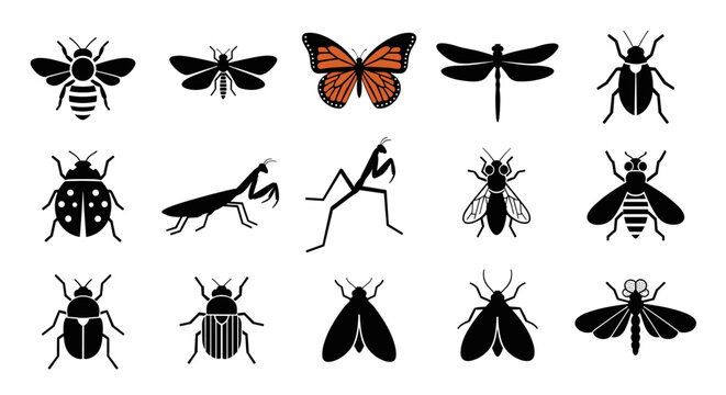 Set of fifteen black and orange insect icons featuring butterflies, bees, beetles, and mantis, flat vector silhouettes for nature design