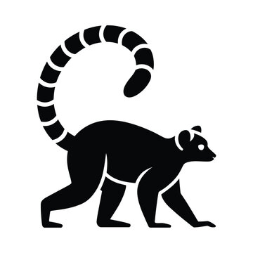 Lemur silhouette against a white background black and white animal shape
