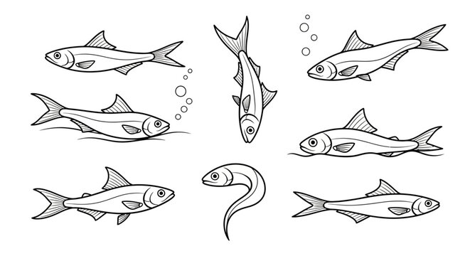 Fish set, hand-drawn vector illustration of marine life for design