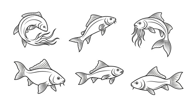 Hand-drawn carp fish collection in vintage sketch style