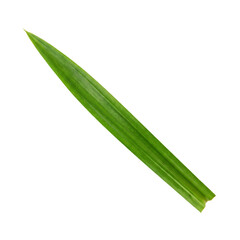 Fototapeta premium Single fresh green pandan leaf isolated on transparent background