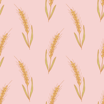 Seamless pattern with hand drawn cereal wheat oat rye barley rice ears spikelet Organic healthy food For decorative print, fabric, package, background
