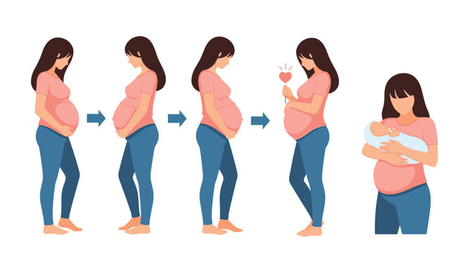 Sequential stages of pregnancy follow a woman from the first trimester to the birth of her baby, celebrating the journey of motherhood.