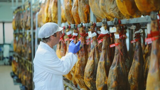 Man employee checks jamon. Quality control, troubleshooting, search and elimination of violations. Meat processing plant. Hanging meat in production hall.