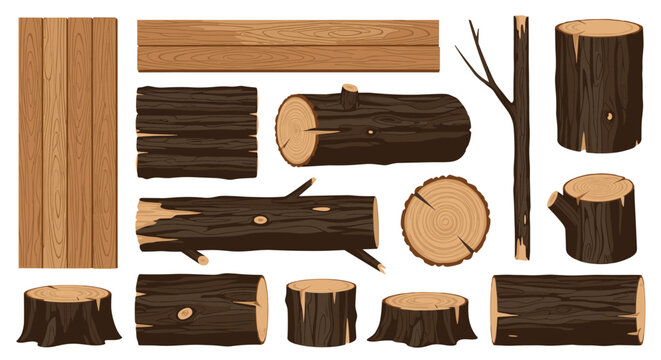 Collection of natural wood logs, cut tree stumps, timber planks, and branches showcasing different bark textures and internal grains.