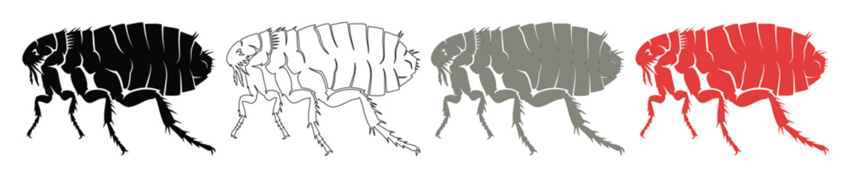 Flea vector illustration set, four distinct flea designs in black, outline, grey, and red, pest control graphic resource for health and hygiene concepts