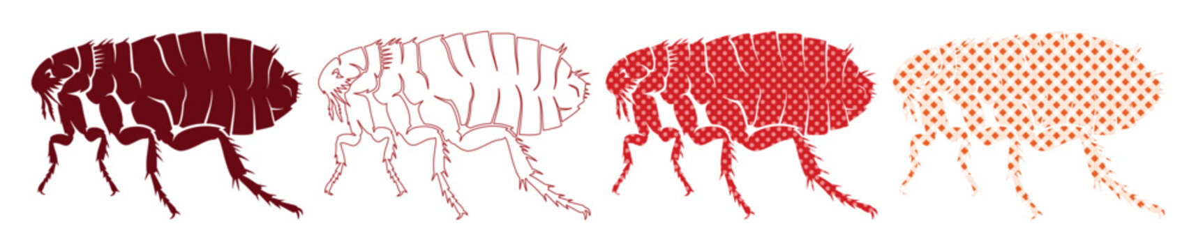 Flea vector illustration set, four different styles of tiny insect pests, parasitic animal icons for pet care and pest control designs, isolated on white background
