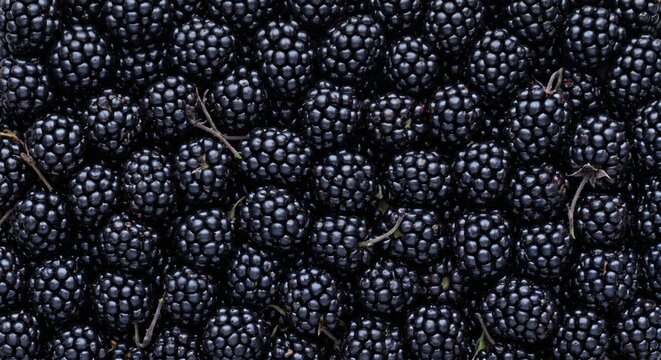 Abundant pile of ripe, dark blackberries with visible stems and textured drupelets filling the entire frame creating a rich, natural pattern