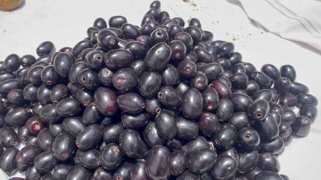 Fresh Black Jamun Fruits Pile  Tropical Java Plum Harvest