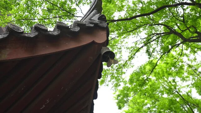 Traditional Chinese roof corner with a small bell swaying gently against a lush green tree canopy