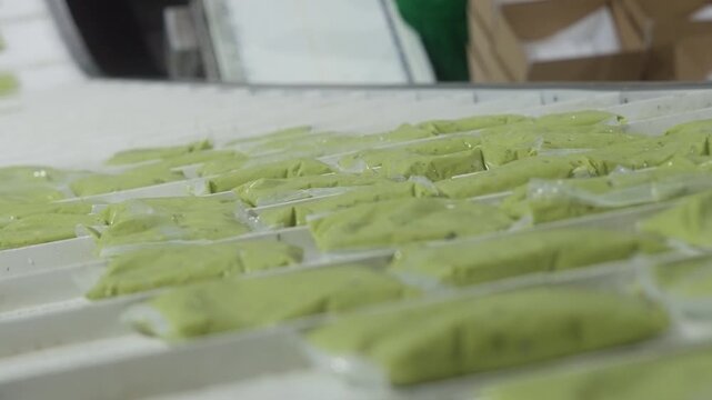 Filled guacamole trays aligned on conveyor belt ready for packaging in production facility