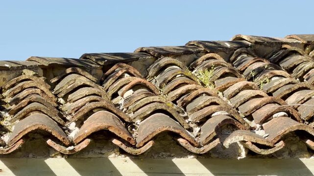 Weathered terracotta tiles sit tightly packed on an old roof under bright daylight. The ancient ceramic texture feels nostalgic and resilient against the passing time.