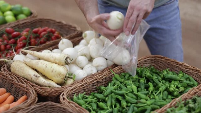 Shopper hands select ripe turnips in a supermarket. High quality 4k footage