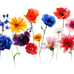 Obraz premium Bright Flowers in Various Colors Gathered Together on a White Background