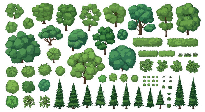 Flat vector tree collection, green forest plants and garden bushes set, organic foliage and coniferous pine trees for landscape design and map creation