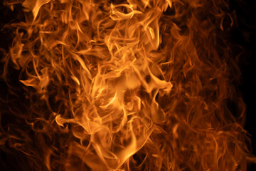 Fototapeta premium Burning abstract fire background. Glowing fire flames. Hot fire inferno background. Fire abstract pattern.