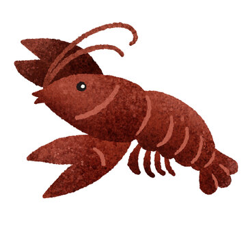 かわいいザリガニの手描きイラスト素材