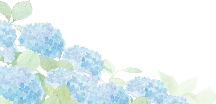 水彩で描いた紫陽花の背景イラスト