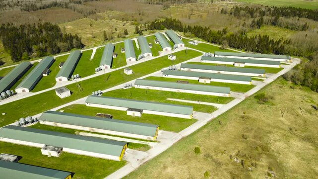 Industrial Poultry Farm Aerial View of Chicken Houses