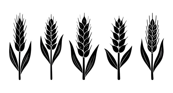 wheat, grain, black, silhouette, icon, harvest, crop, agriculture, farm, stalk, ear, cereal, field, nature, rural, organic, bakery
