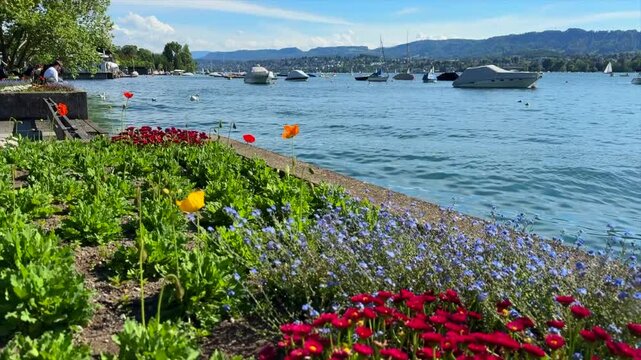 Colorful Flower Garden Along Lake Zurich Waterfront in Zurich, Switzerland in 4K