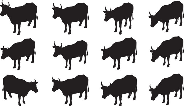 Black cow silhouettes on white background pattern design