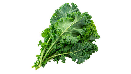 Fototapeta premium Fresh whole green kale leaf for healthy organic salad nutrition and natural culinary cooking food ingredient concepts isolated on transparent background cut out